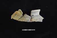 藏品(陶罐)的圖片